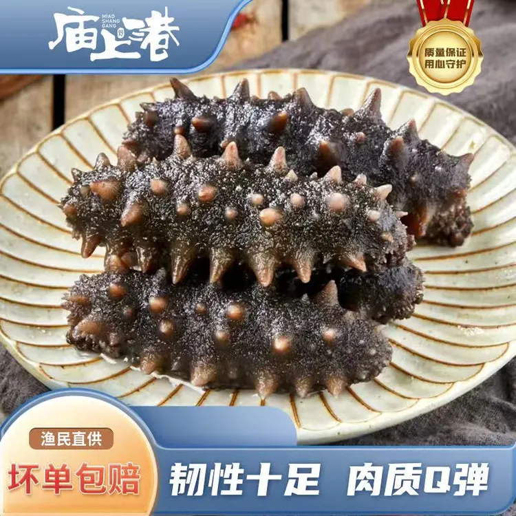 庙上港大连冷冻 即食鲜食海参 辽刺参 装 10-12头