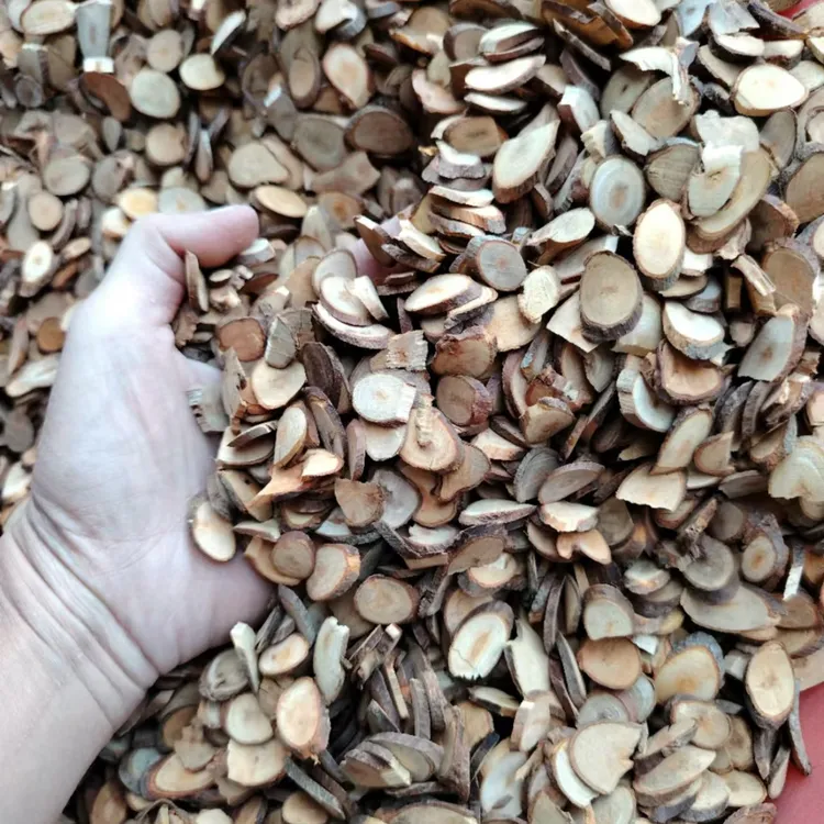 正宗广西桂枝片 当季桂枝片