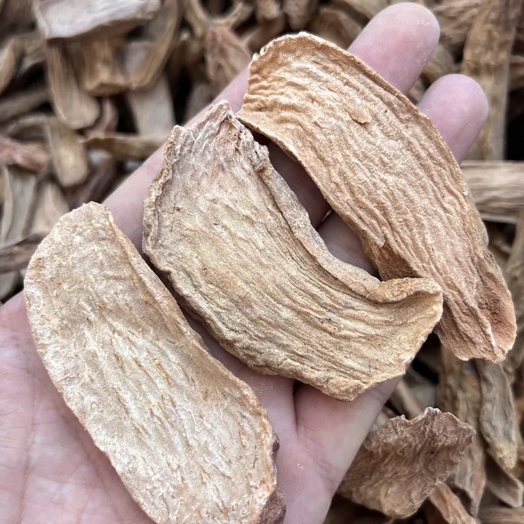 锁锁内蒙古道地泡水自然挖采自然晾晒足干25年秋冬新货