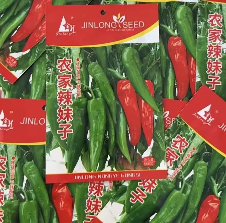 【农家辣妹子种子种子】种子早熟辣椒四季食用蔬菜种子