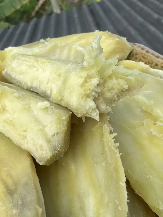 宁洱老品种山药现挖黄山药干面白薯【世洁土特产】