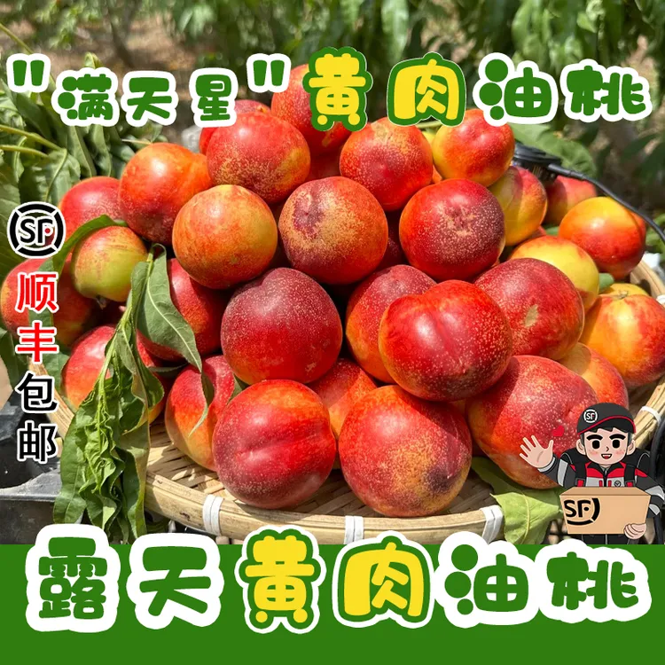 【顺丰】黄心油桃新鲜水果当季脆现摘正宗黄肉满天星麻子脸蜜桃子