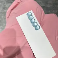 【娜姐专属】夏季网红流行爆款透裸猫眼甲油胶01#