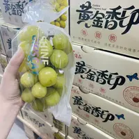 黄金香印   青提  香甜脆  净重3-3.3斤【只发河南省】