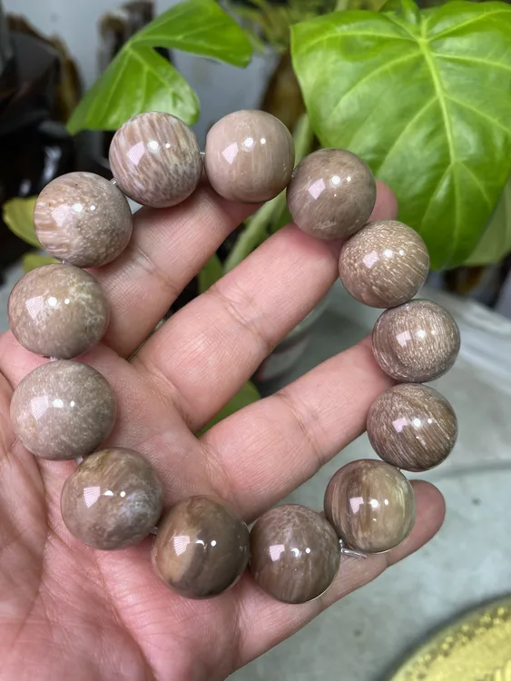 多样发货随机一条树化玉精品手串