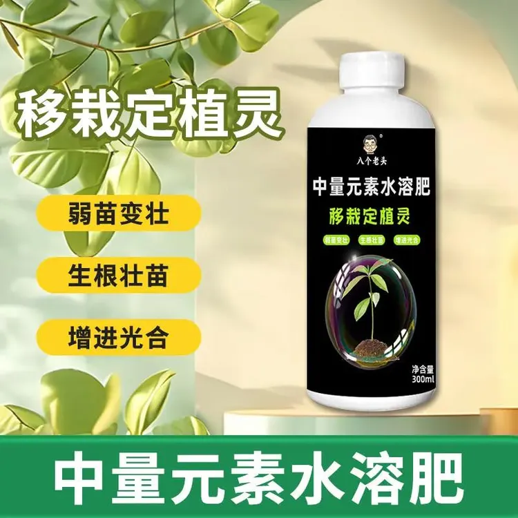 定根壮苗快告别移栽损伤中量元素水溶肥防黄叶促生长缩短缓苗期1商品图
