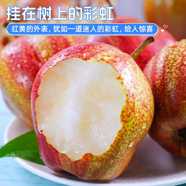 彩虹梨 高端稀有品种送礼佳品