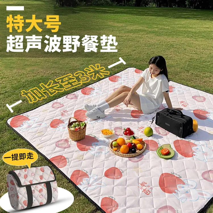 野餐垫防潮垫六层加厚户外防水超声波地垫便携野炊春游露营帐篷垫