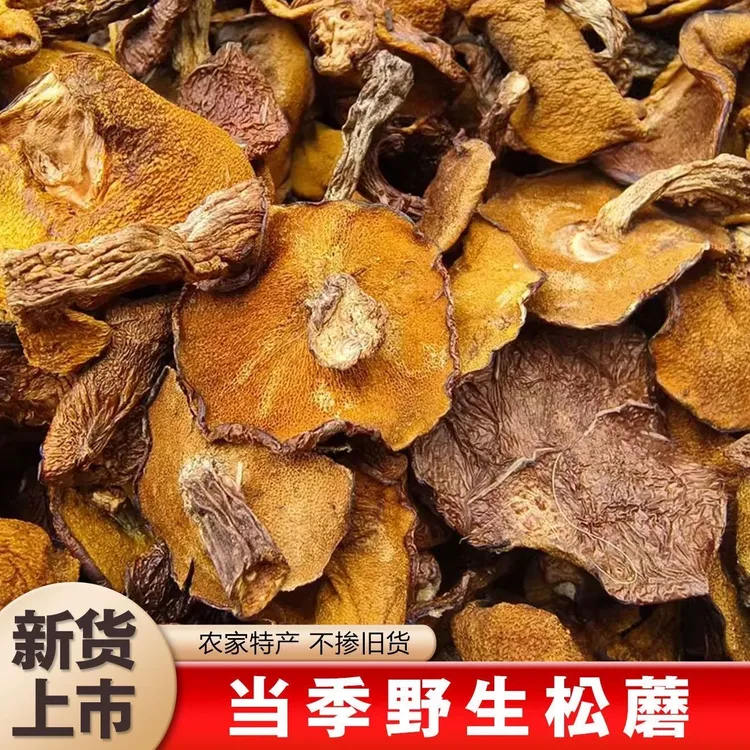 沂蒙山特产野生松蘑蛾子松菇粘蛾子炖鸡新鲜