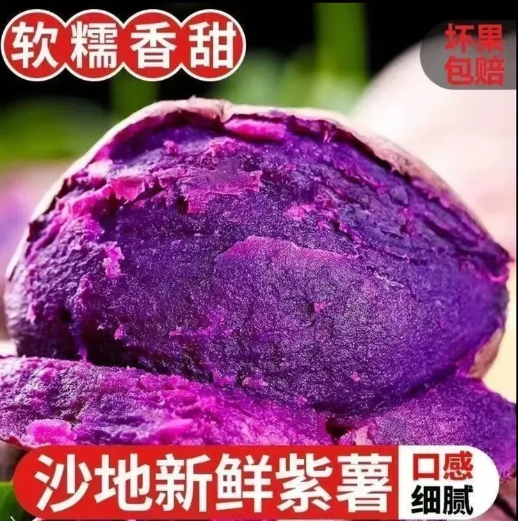 【沙地紫薯】新鲜红薯番薯香甜粉大中小果带箱 5  斤(坏瓜包赔)