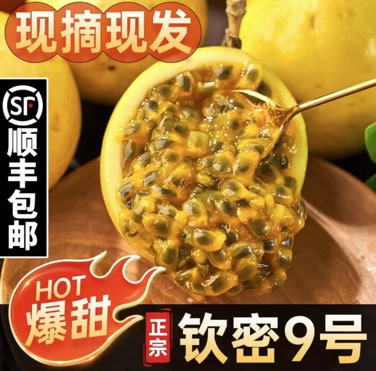 海南钦密9号孕妇小孩夏日解暑维生素C之王12个小果维生素c水果