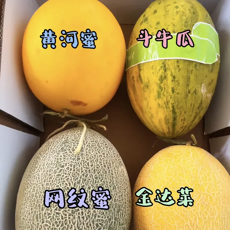 羊皮筏子-大漠蜜瓜4合1【白兰瓜+黄河蜜+斗牛+网纹】4款口感、发顺丰