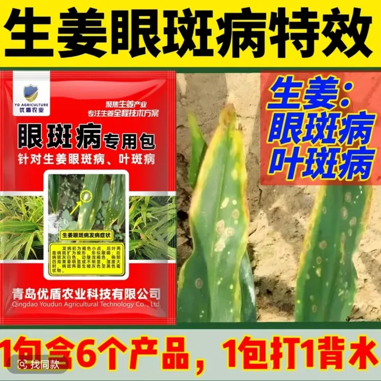 生姜眼斑病生姜纹枯病姜瘟病生姜眼斑病用什么药生姜叶斑病特效药