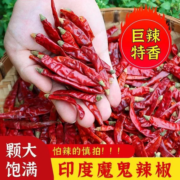 印度S17特辣干辣椒魔鬼辣椒印度魔鬼辣椒卤肉火锅炒菜干辣椒专用