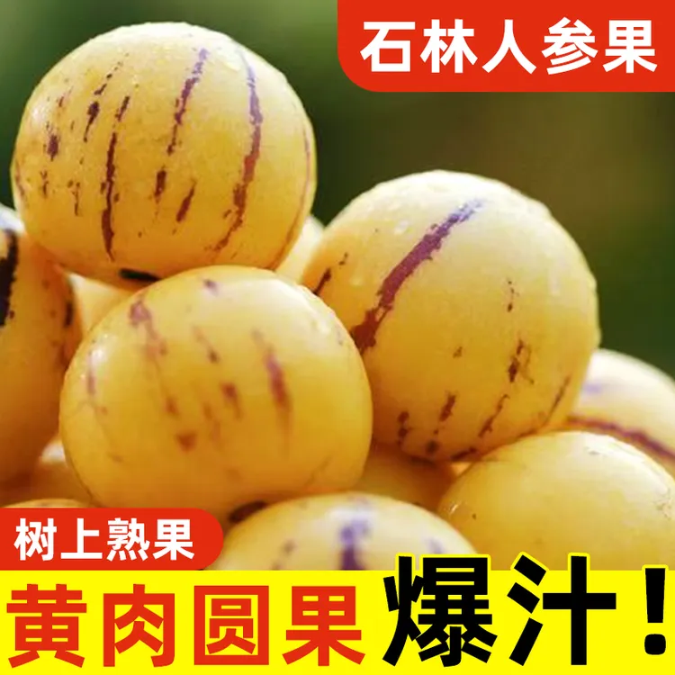 【3斤尝鲜】正宗云南石林人参果肉多鲜汁产地直发现摘现发应季水果