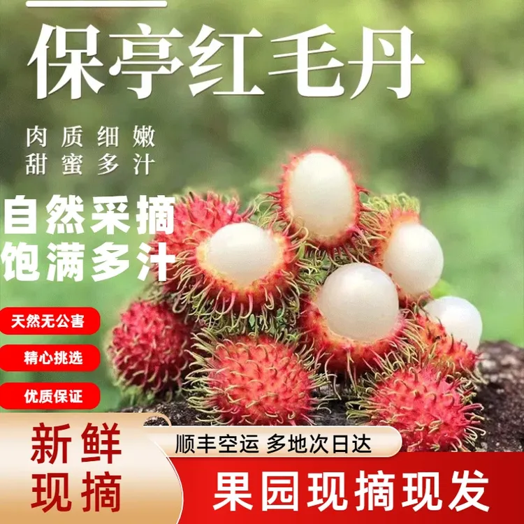 红毛丹海南保亭毛孕妇宝宝辅食饭后水果现摘现发礼盒空运观赛搭子