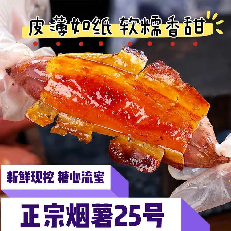 山东正宗烟薯25号红薯新鲜现挖现发糖心流油软糯香甜5斤