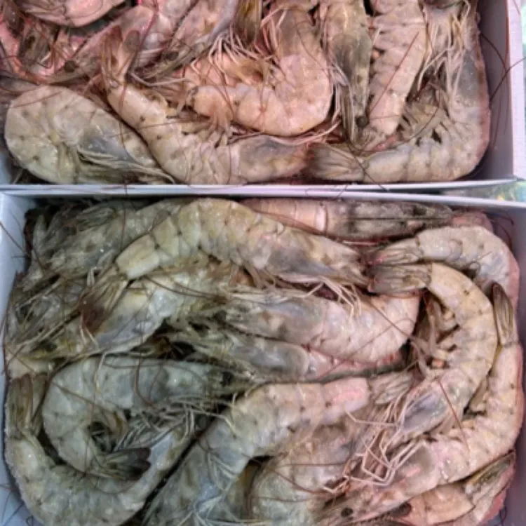 气冻盐冻虾，个大、口感好，源自家吃的品质