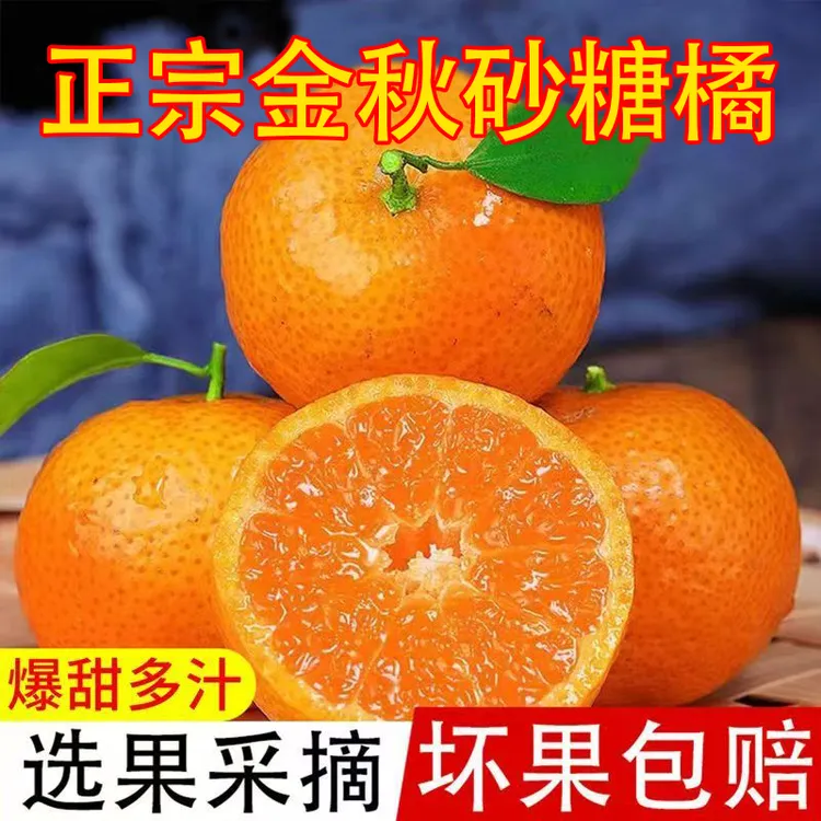 正宗广西金秋沙糖桔蜜橘新鲜应季水果爆甜多汁
