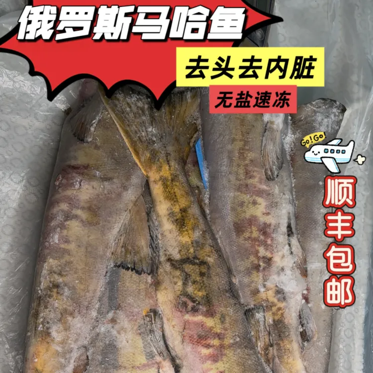 抚远特产马哈鱼 去头去内脏大马哈鱼