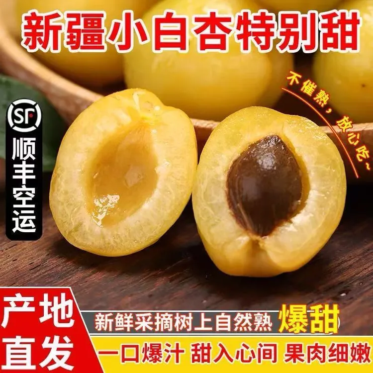 新疆轮台小白杏新鲜采摘香甜多汁顺丰航空包邮直发