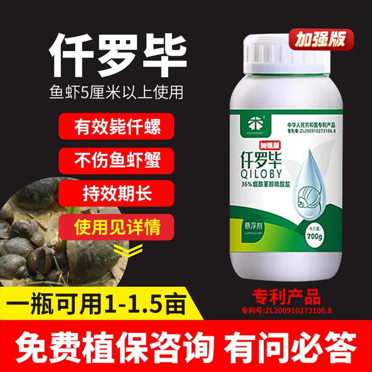 仟罗毕 36%烟酰苯胺福寿螺不伤鱼虾和鳝鱼水草水质调节剂