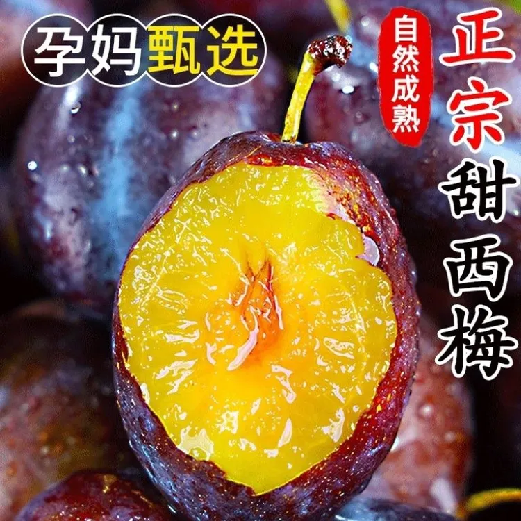 【胖姐专属】顺丰包邮甘肃西梅现摘现发新鲜正宗西梅当季新鲜水果