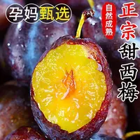 带箱3斤树上熟西梅新鲜饱满多汁酸甜脆爽的西北西梅当季水果顺丰