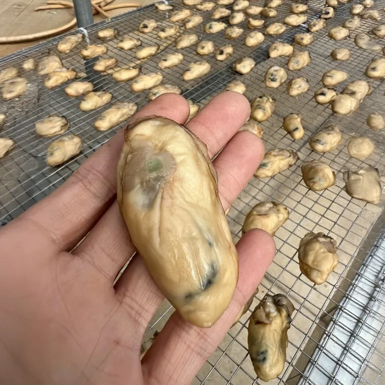 【金蚝干25-30头】生晒 无抽油 5-6成干 儿童 速冻冷链发货