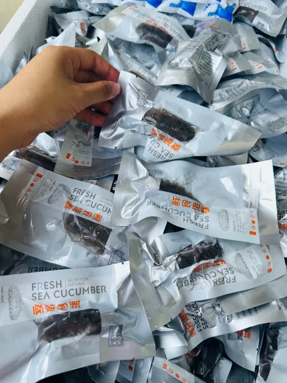 深海即食海参Q弹口感营养丰富一斤15只左右