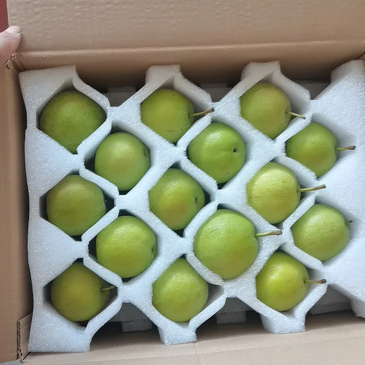 经典纸箱/鞍山市海城市新摘笨南果梨软糯多汁甘甜南果梨