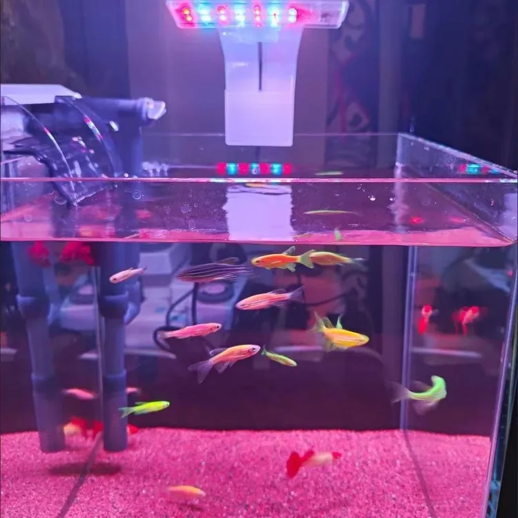 LED鱼缸灯迷你小夹灯水草灯鱼缸灯USB插头全光谱增色增艳节能照明