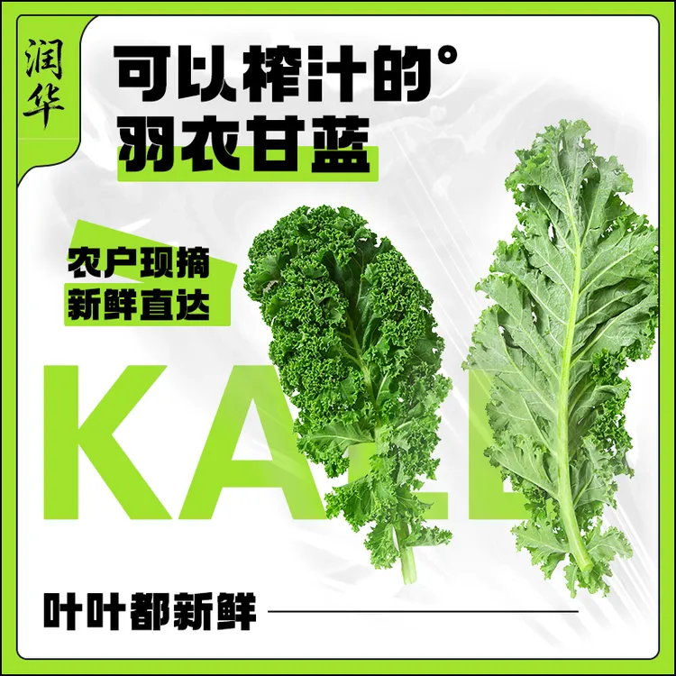 【uu专属】网红爆款产地直采京东冷鲜发货新鲜羽衣甘蓝叶子