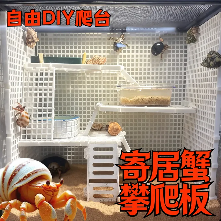 寄居蟹爬台爬梯小豆丁彩豆黑莓辣椒蟹爬架隔离板攀爬藤鱼缸晒台