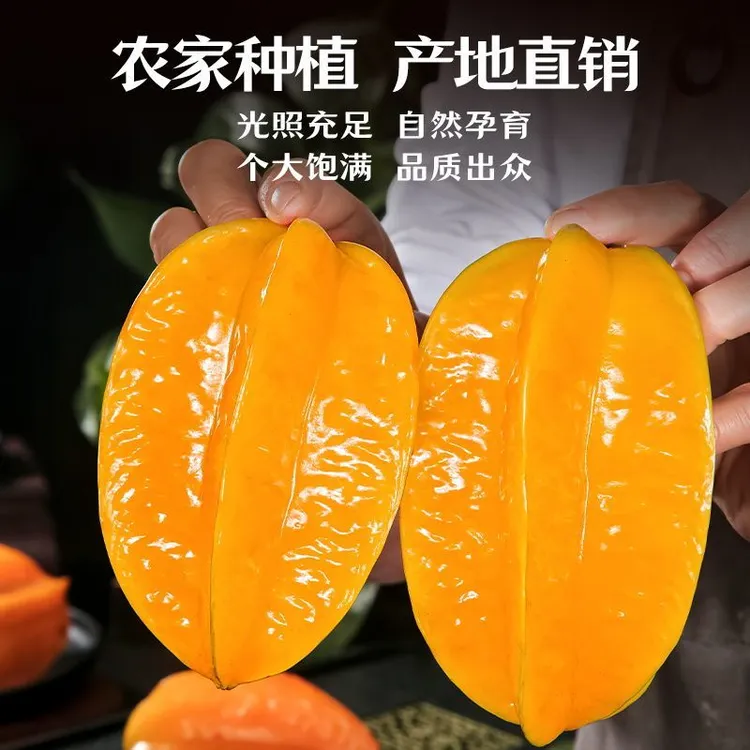 【先亏1000单】树上熟杨桃五角星皮薄肉厚清甜爆汁产地直发新鲜水果