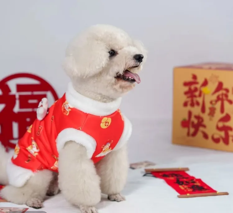 宠衣优选I新年衣服柯基金毛比熊中大型冬款过年服装不粘毛外出