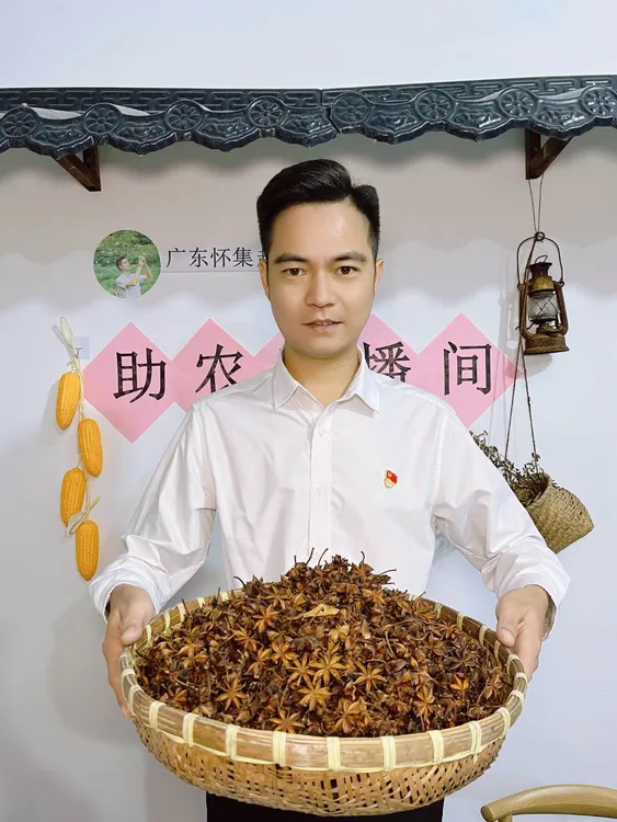 广东怀集少数民族老树八角