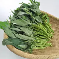 【上海金山】本地红薯叶