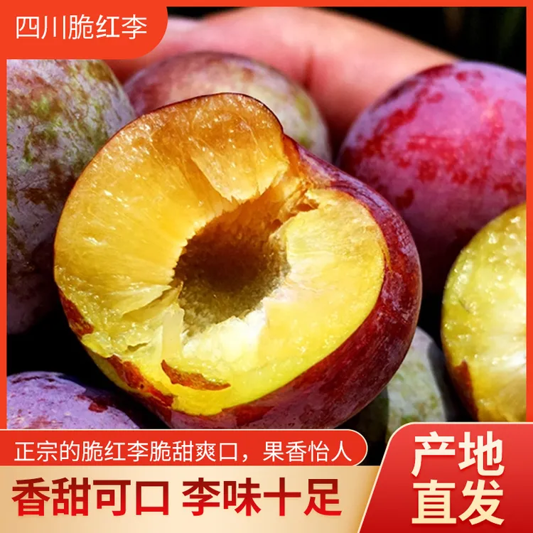 【脆甜爆汁】四川高山脱骨李新鲜应季现摘果园直供现摘李子现发