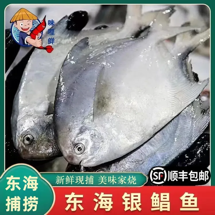 味哩鲜 东海特产深海鲳鱼4条/400克4袋装营养肉质美味