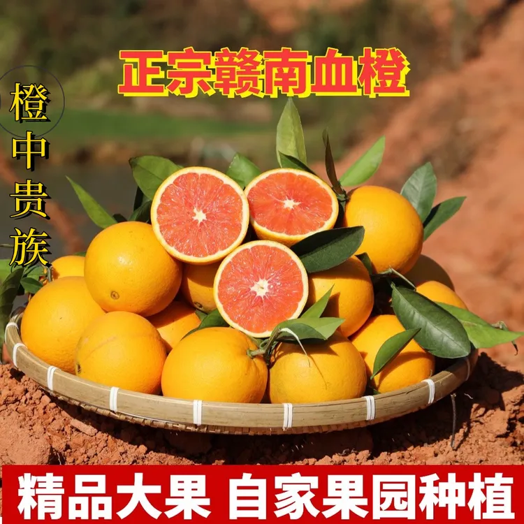 江西赣南血橙皮薄红肉橙中华红橙卡拉红橙子新鲜应季水果现采现发