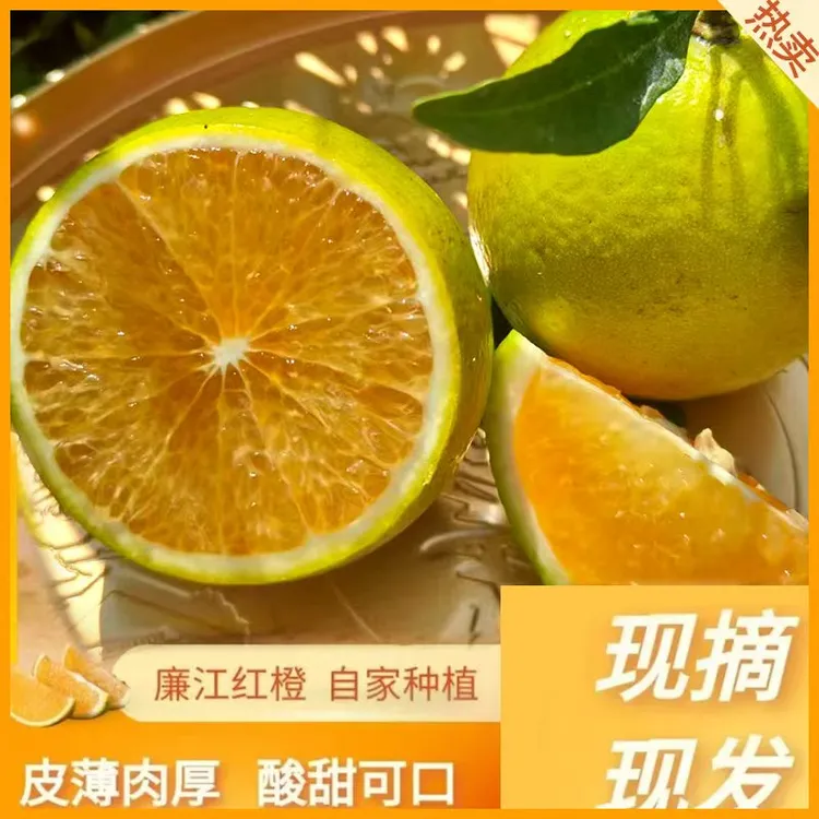 正宗廉江红橙当季新鲜水果清甜多汁产地直发应季维生素c橙子大果