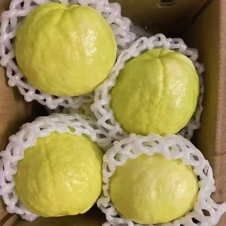 广西当季白心奶油芭乐 番石榴 新鲜水果 香甜多汁软糯口感