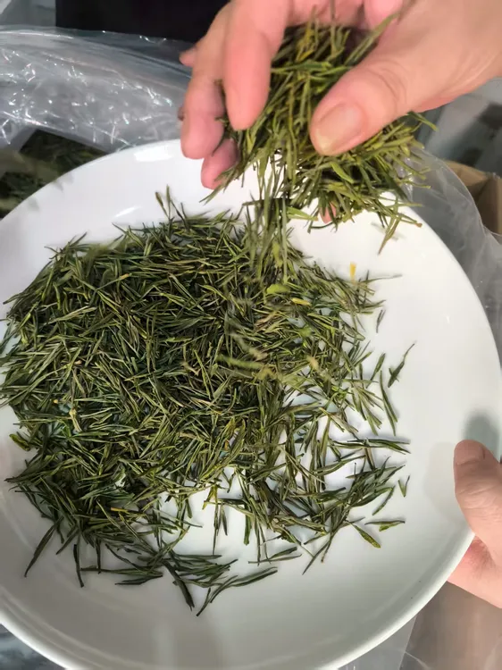 2025年明前安吉高山特产白茶新茶嫩芽兰花香