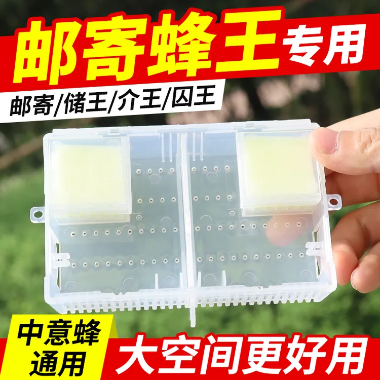 蜂王邮寄王笼 塑料蜜蜂蜂皇保护王龙畜牧工具王可视养蜂工具包邮