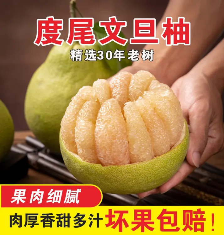 正宗福建莆田度尾文旦柚红心柚子蜜柚 当季新鲜现摘孕妇时令水果