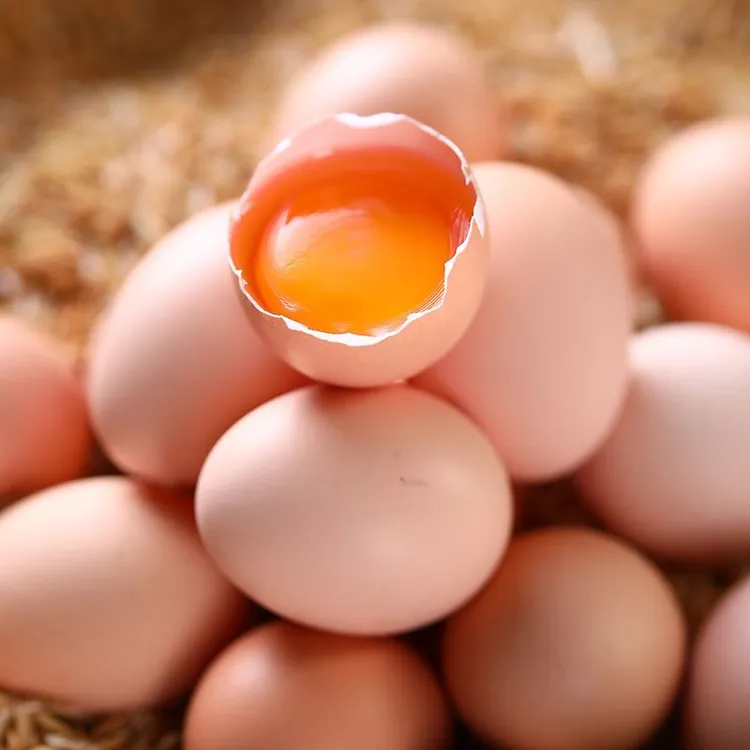 新鲜天然无抗土鸡蛋