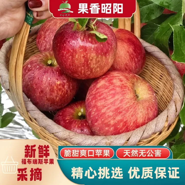 【2025鲜果】福布瑞斯苹果新鲜水果5斤装云南产地直发脆甜多汁