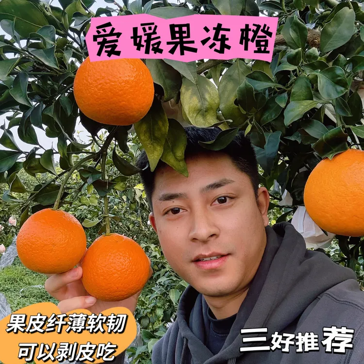 三好推荐-四川正宗爱媛果冻橙（京东）