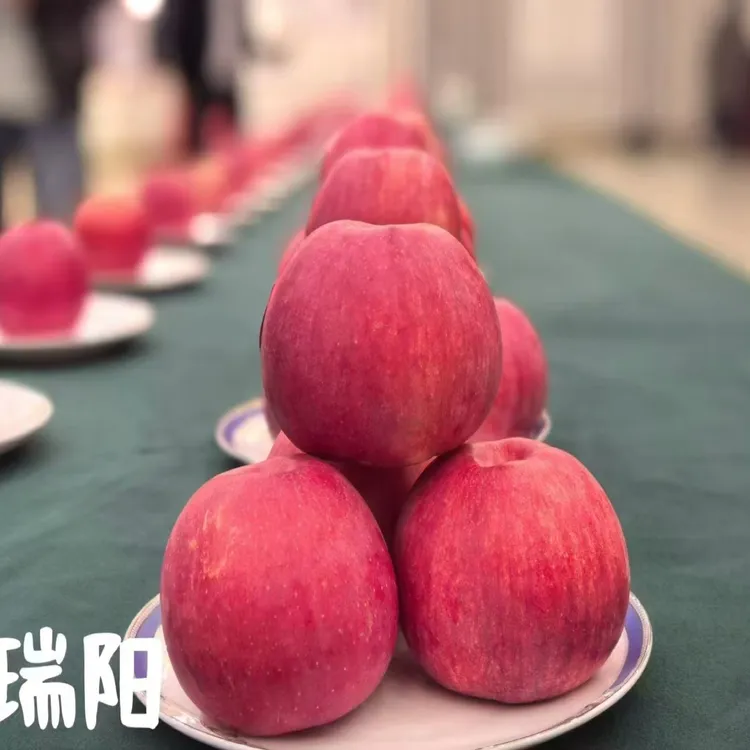 白水新品种瑞阳24枚家庭装